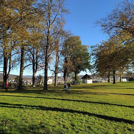 アルンスベルクPanoramahaus Sauerlandアパートメント エクステリア 写真