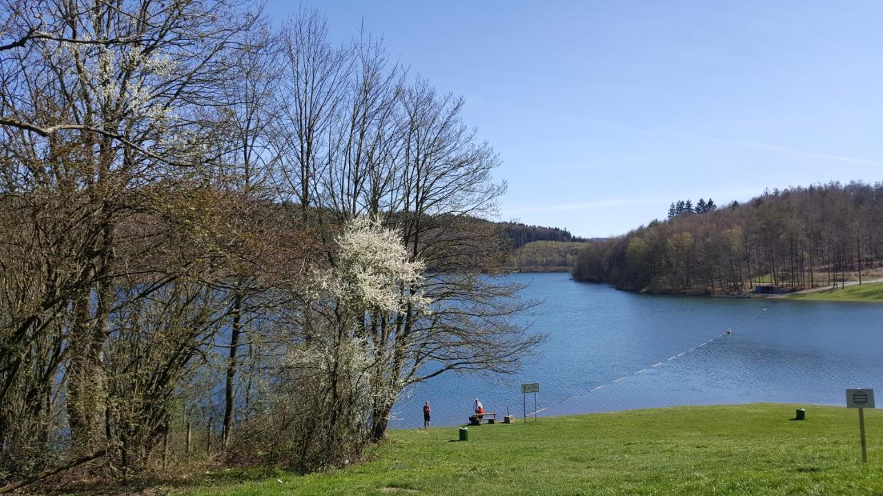 アルンスベルクPanoramahaus Sauerlandアパートメント エクステリア 写真